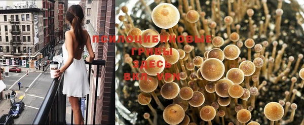 дурь Абаза