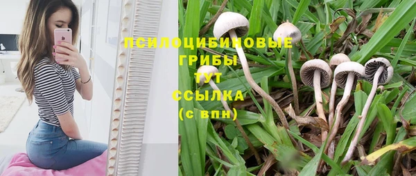марки nbome Алексин