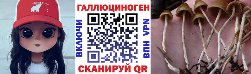 Галлюциногенные грибы Magic Shrooms  сайты даркнета как зайти  Бавлы 